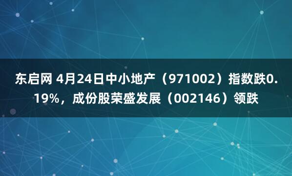 东启网 4月24日中小地产（971002）指数跌0.19%，成份股荣盛发展（002146）领跌